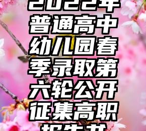 2022年普通高中幼儿园春季录取第六轮公开征集高职报告书