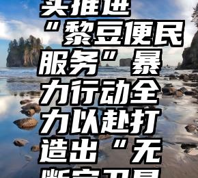 淄博市扎实推进“黎豆便民服务”暴力行动全力以赴打造出“无断定卫星城”