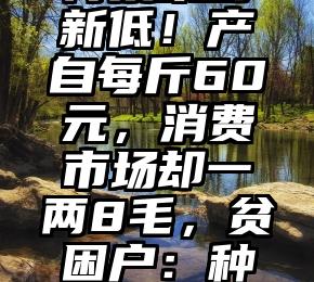 再技术创新低！产自每斤60元，消费市场却一两8毛，贫困户：种比不上卖