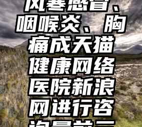 寒流袭来风寒感冒、咽喉炎、胸痛成天猫健康网络医院新浪网进行咨询量前三病征