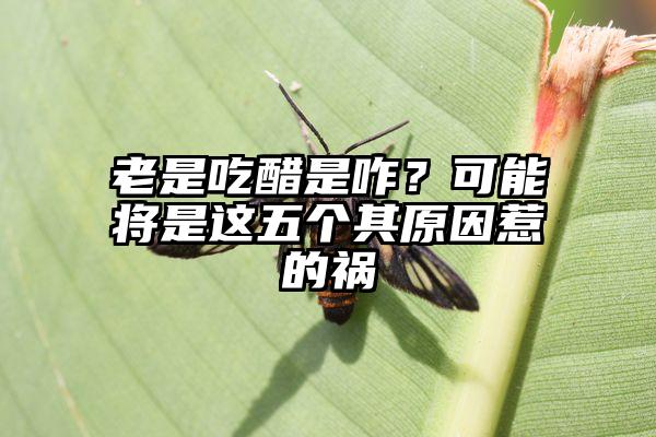 老是吃醋是咋？可能将是这五个其原因惹的祸