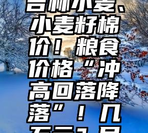 2022年吉林小麦、小麦籽棉价！粮食价格“冲高回落降落”！几万元？目录公布！