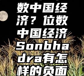 甚么是位数中国经济？位数中国经济Sonbhadra有怎样的负面影响。