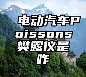 电动汽车Poissons樊露仪是咋