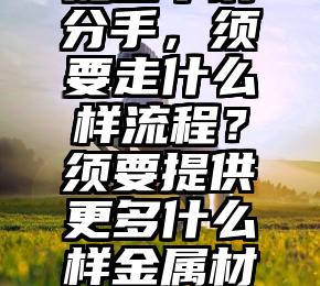 提出申请分手，须要走什么样流程？须要提供更多什么样金属材料？