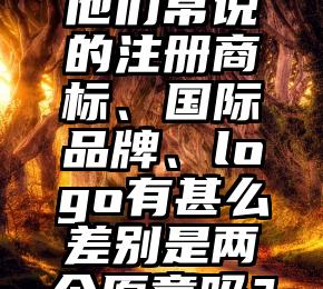 他们常说的注册商标、国际品牌、logo有甚么差别是两个原意吗？