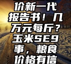 玉米籽棉价新一代报告书！几万元每斤？玉米SE9事，粮食价格有信用风险？