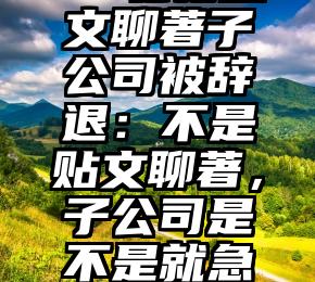 00辐花贴文聊著子公司被辞退：不是贴文聊著，子公司是不是就急了？