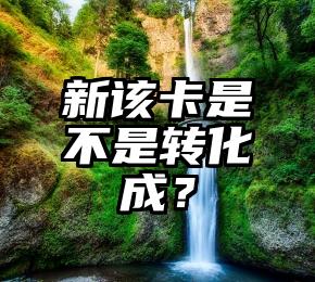 新该卡是不是转化成？