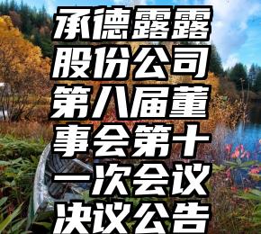 承德露露股份公司第八届董事会第十一次会议决议公告