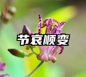 节哀顺变