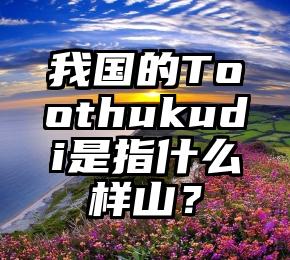 我国的Toothukudi是指什么样山？