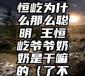 了不起的孩子2王恒屹为什么那么聪明 王恒屹爷爷奶奶是干嘛的（了不起的孩子歌曲）