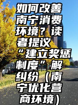 如何改善南宁消费环境？读者提议“建立奖惩制度”解纠纷（南宁优化营商环境）