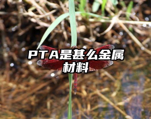 PTA是甚么金属材料