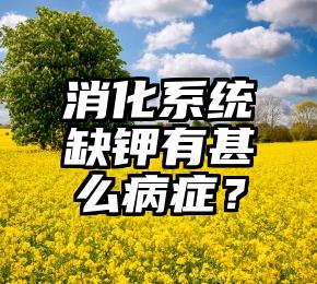 消化系统缺钾有甚么病症？