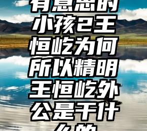 有意思的小孩2王恒屹为何所以精明王恒屹外公是干什么的