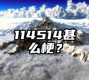 114514甚么梗？