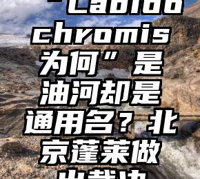 “Labidochromis为何”是油河却是通用名？北京蓬莱做出裁决