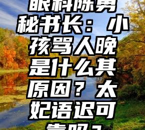 眼科陈勇秘书长：小孩骂人晚是什么其原因？太妃语迟可靠吗？