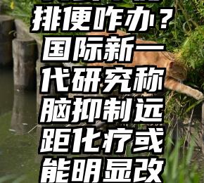 失去平衡排便咋办？国际新一代研究称脑抑制远距化疗或能明显改善