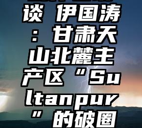 创作者访谈 伊国涛：甘肃天山北麓主产区“Sultanpur”的破圈成功之路