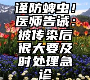 谨防蜱虫！医师告诫：被传染后很大要及时处理急诊