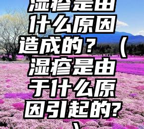 湿疹是由什么原因造成的？（湿疹是由于什么原因引起的?）