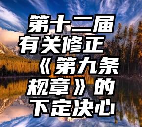 第十二届有关修正《第九条规章》的下定决心