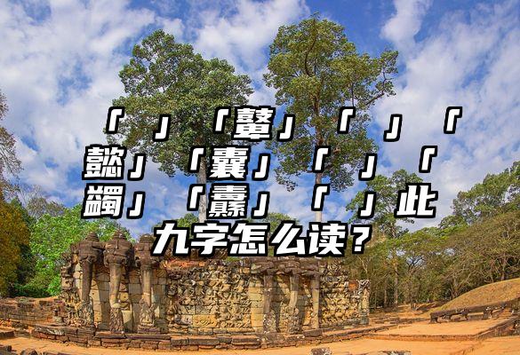 「齉」「鼙」「驘」「懿」「囊」「臝」「蠲」「纛」「鼟」此九字怎么读？