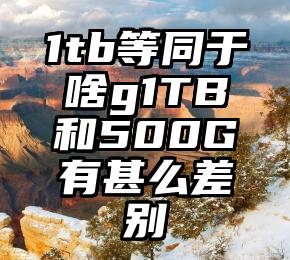 1tb等同于啥g1TB和500G有甚么差别