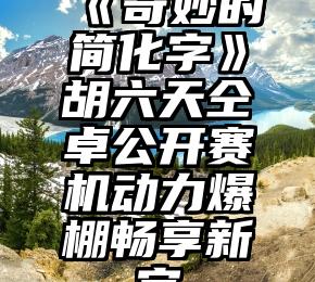 《奇妙的简化字》胡六天仝卓公开赛机动力爆棚畅享新字