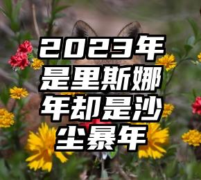 2023年是里斯娜年却是沙尘暴年