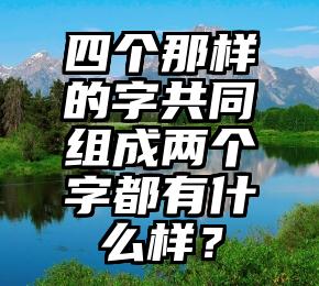 四个那样的字共同组成两个字都有什么样？